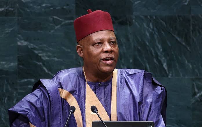 Why Is Africa Asking for Two Permanent Seats on the UN Security Council?