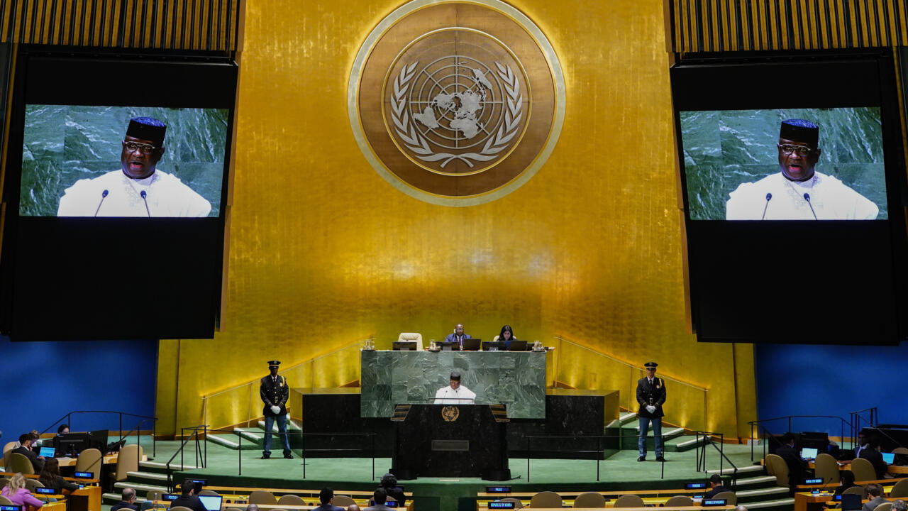 Permanent Seats or Rotating Seats: Which System Would Represent the World Better?
